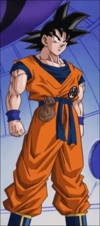 De quel manga vient-il ?