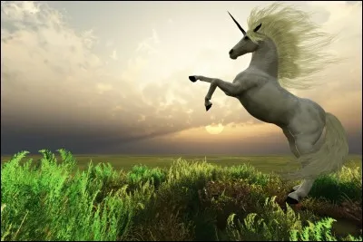 Quelle est ta matière préférée ?