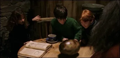 Quand Harry, Hermione et Ron doivent-ils amener Norbert en haut du château ?