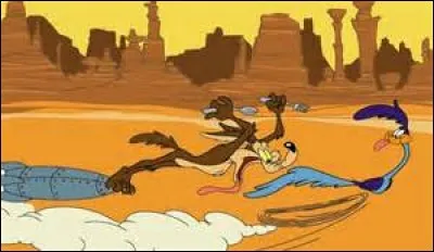 A quelle vitesse court Bip-Bip ?