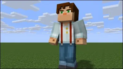 Comment s'appelle le joueur principal du jeu Minecraft ?