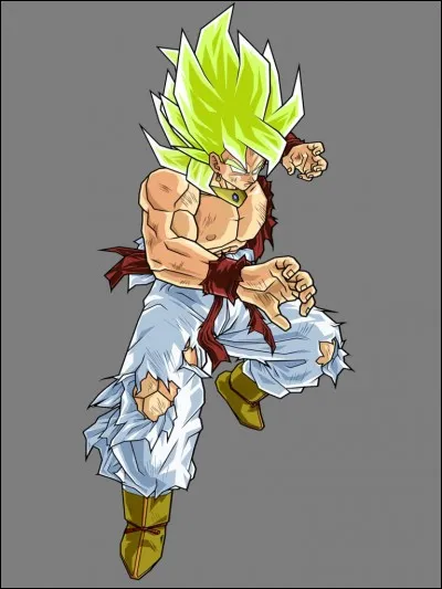 Que donne la fusion entre Broly et Goku ?
