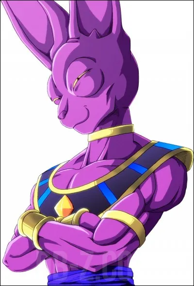 Qui est le cousin de Beerus / Bills ?