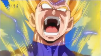 Quelle est la réaction de Vegeta quand il voit Beerus ?