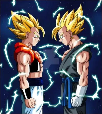 Quelle est la différence entre la fusion Potara et la fusion normale ?