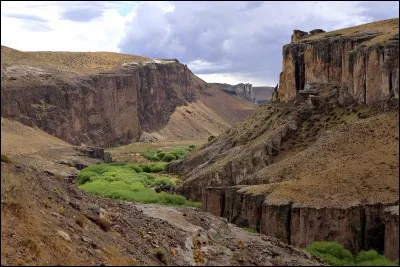 La "Cueva de las Manos" est une grotte remarquable située en Patagonie argentine. D'où tire-t-elle sa renommée ?