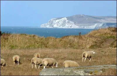 Dans quel département pourrez-vous vous promener au cap Gris-Nez ?