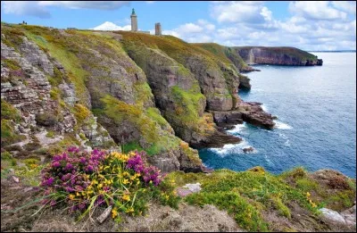 Parmi ces propositions, laquelle ne désigne pas une partie du littoral français ?