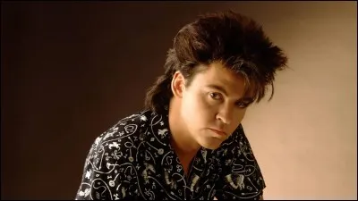 Chanteur de pop, un de mes plus grand succès fut " Everytime you go away" :