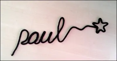 Mon prénom est Paul. J'ai fait partie des "quelques messieurs trop tranquilles", je fus sommelier du "grand restaurant" et l'inspecteur Pinaud dans "sale temps pour les mouches", quel est mon nom ?