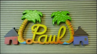 J'ai été propriétaire de l'île de Bendor, un circuit automobile porte mon nom, quel Paul suis-je ?