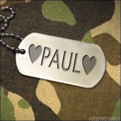 On se souvient de mon concert à Central Park, de "sounds of silence", de Mrs Robinson", je suis :