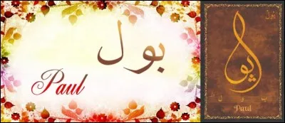 Guitariste et chanteur de Blues, on se souvient de mon album "Barjo-Land" :