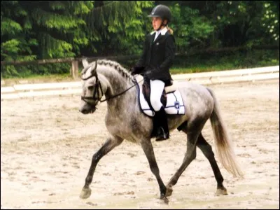 La personne qui monte à cheval est un :