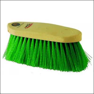 Cette brosse s'appelle