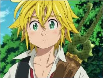 Dans "Nanatsu no tazai", comment s'appelle le héros ?