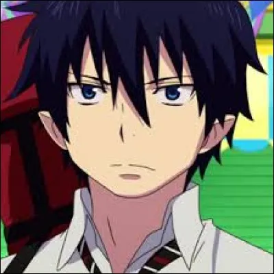 Dans « Blue Exorcist », qui est Rin ?