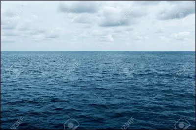 Quel bassin maritime ou océanique borde les côtes de Guinée ?