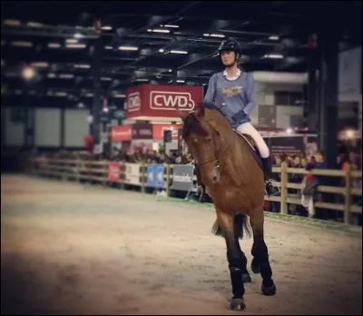 Quel est ce cheval ?