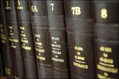 Quelle loi instaurerais-tu si tu devenais président à la place de Snow ?