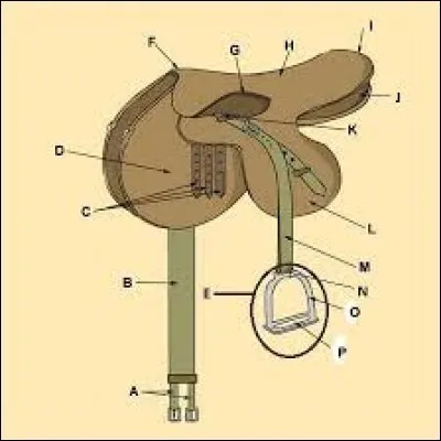 Comment se nomme la partie J ?