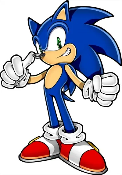 Quel devait être le nom de Sonic ?