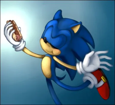 Quelle est la plus grande faiblesse de Sonic ?