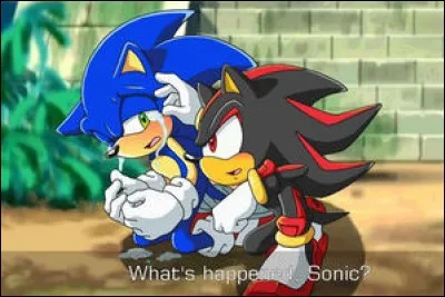 Sonic et Shadow ont déjà pleuré une fois ?