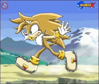 Comment s'appelle ce hérisson ?