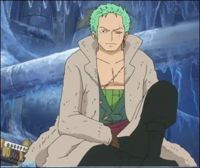Quel est le comble du déshonneur pour Zoro ?