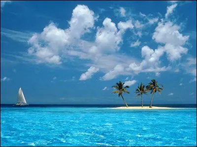 Quelle princesse vit dans la mer ?