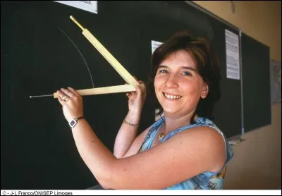 Combien y a-t-il de professeurs ?