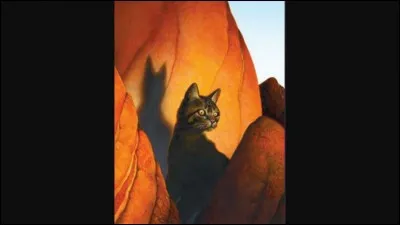 Qui incite Étoile de Feu à choisir Griffe de Ronce comme lieutenant ?