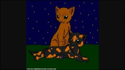 Qui est le compagnon de Pelage d'Or ?