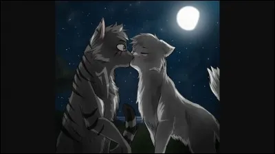 Quelles sont les dernières paroles de Jolie Plume à Nuage Noir ?