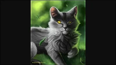 Qui a été le mentor de Pelage d'Orage dans le clan du Tonnerre ?