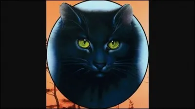 Qui était le mentor de Plume de Jais ?