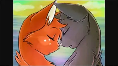 Combien de chats ont aimé Poil d'Écureuil ?