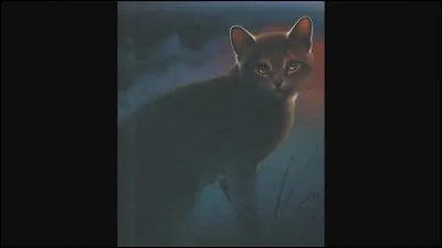 Quel était le nom d'apprenti de Griffe de Ronce ?