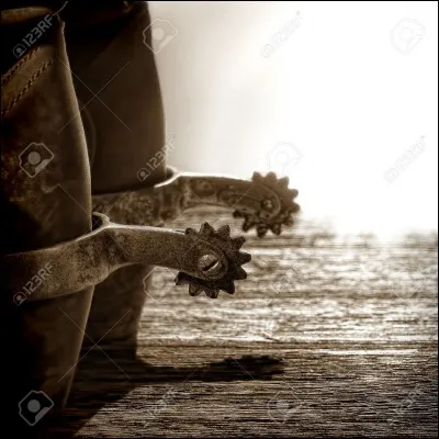 Quel est ce type d'éperon ?