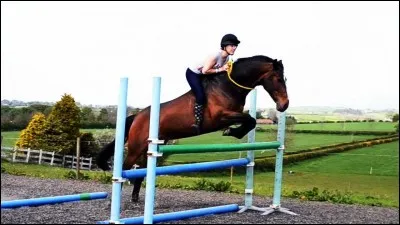 Quel est le nom de cet obstacle ?