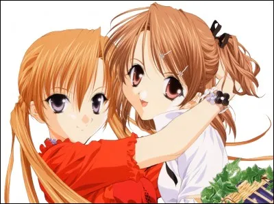 Quelle est la bonne orthographe ?