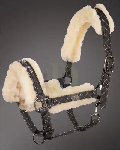 Sur le licol, comment s'appelle ce qui passe sur le museau du cheval ou du poney ?