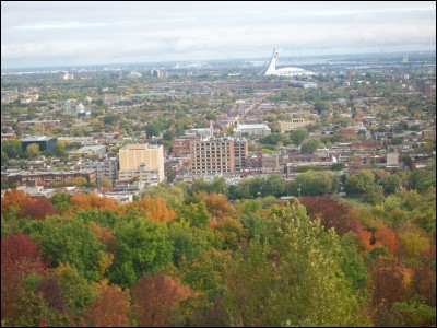 Pour commencer, voici une photo de Montréal prise depuis le Mont-Royal. Quel édifice emblématique de la ville apercevez-vous en blanc dans le fond de l'image ?