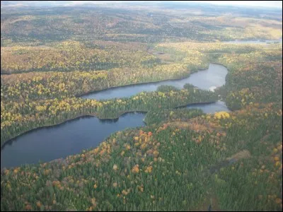 En poursuivant le cours du Saint-Laurent vers le nord, nous voici à Trois-Rivières. Quelle industrie a, pendant longtemps, assuré la prospérité de cette ville grâce aux vastes forêts qui l'entourent ?