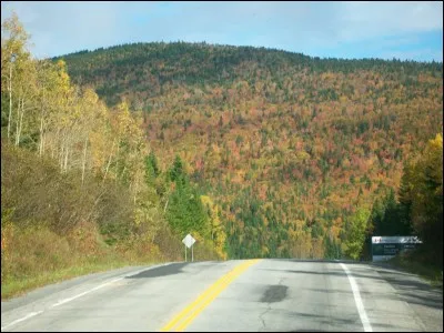De tous les parc nationaux canadiens, Miguasha est celui qui présente la plus petite superficie. Qu'y a-t-on trouvé en abondance, ayant justifié le classement du site ?
