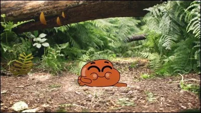 Quel est le titre de la chanson de Darwin pour rentrer chez lui après qu'ils aient accidentellement fait tomber Darwin dans les WC ?