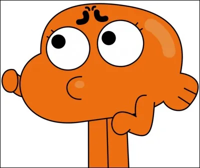 Que porte Darwin aux pieds ?