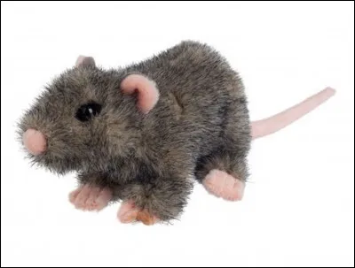 Qui est en fait Croûtard ?