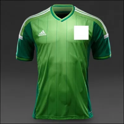 Quel pays joue avec ce maillot ?